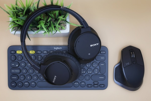 Govee LED Strip Lights